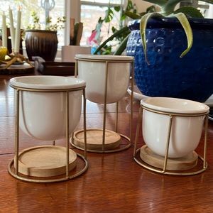 Succulent Plant Pots Cactus Planter Flower Pot Set of 3 Gold Rack